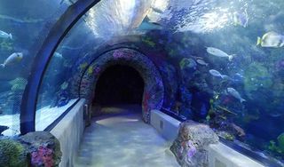 Virginia Aquarium & Marine Science Center