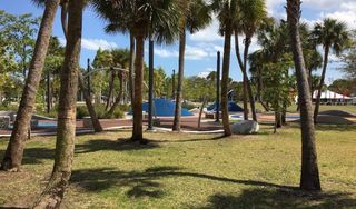 Freebee Circulator - Regatta Park