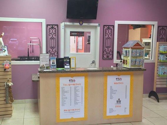 D'tails Pet Boutique & Spa photo