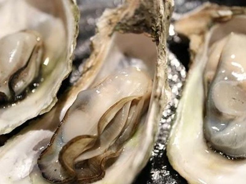 Gary Rack's Fish House + Oyster Bar photo