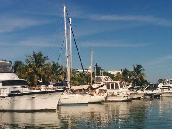Pelican Harbor Marina photo