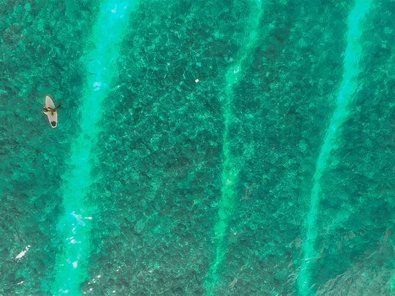 Little Jim Paddleboard & Kayak Rentals photo