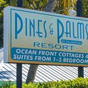 Pines & Palms Resort logo