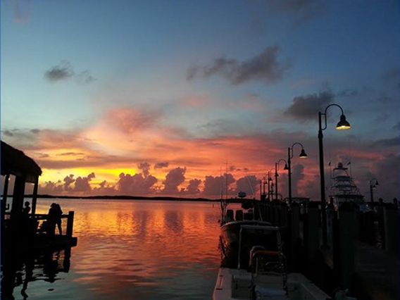 Easy Adventures Boat Tours photo