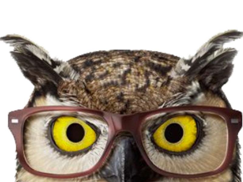 America's Best Contacts & Eyeglasses photo