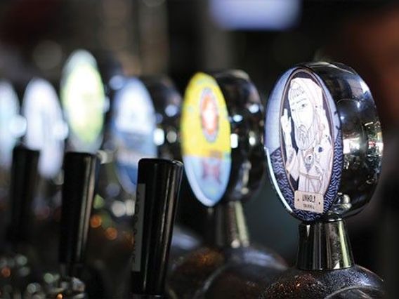 Lulu in the Grove photo