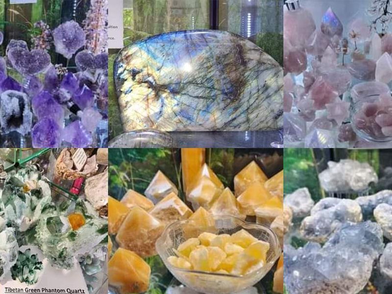 Hidden Gems Botanica photo