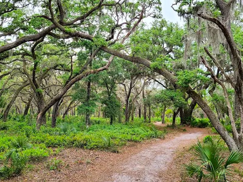 Econ River Wilderness Area photo