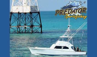 Predator Sportfishing