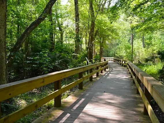 Big Tree Park and Trailhead photo
