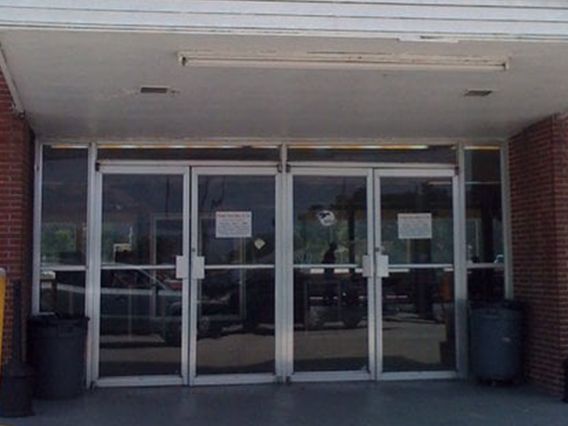 Sanford Orlando Kennel Club photo