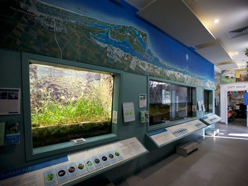 St Lucie County Aquarium photo