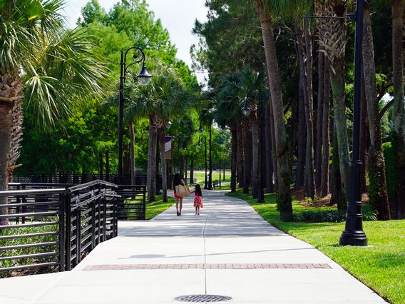 Cranes Roost Park photo
