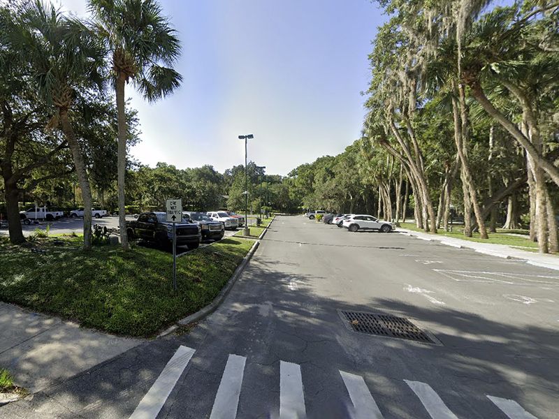 Palm Island Parking Lot photo