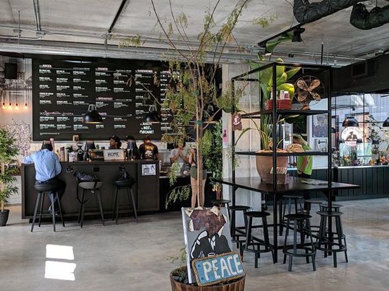 JOE & THE JUICE photo