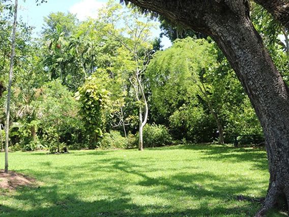 All America Park photo