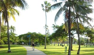 Peacock Park