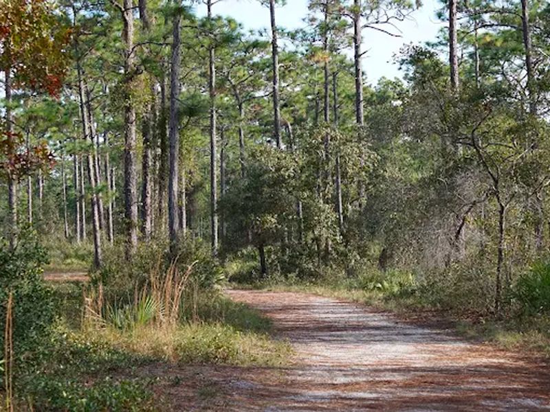 Econ River Wilderness Area photo