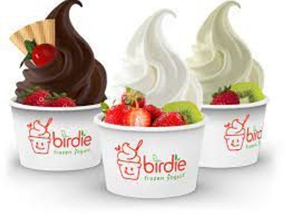Birdie Frozen Yogurt photo