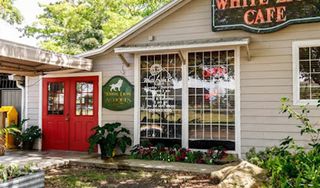 White Lion Cafe