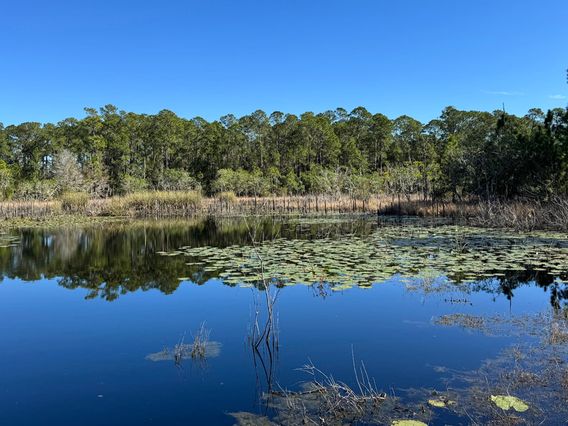 Sylvan Lake Park & Sports Training Center photo