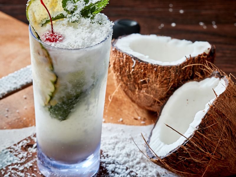 Mojito Bar photo