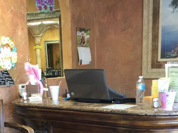 Bella Domani Salon and Spa photo