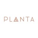 PLANTA logo