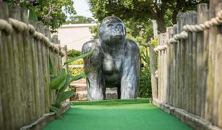 Jungle Golf