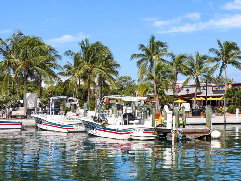 Key West Bight Marina photo