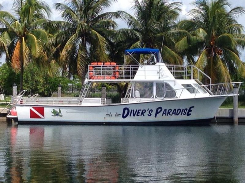 Diver's Paradise photo