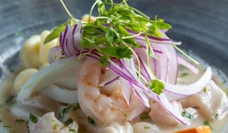 Costazul Peruvian Cuisine