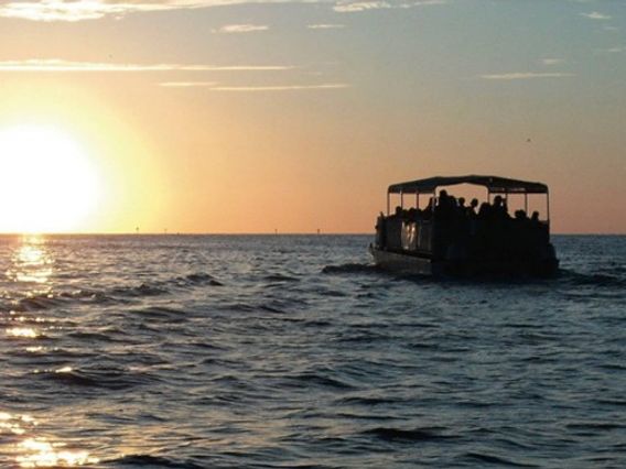 Shell Key Shuttle and Sunset Cruises photo