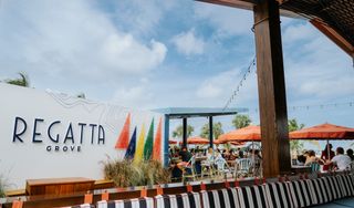 Regatta Grove