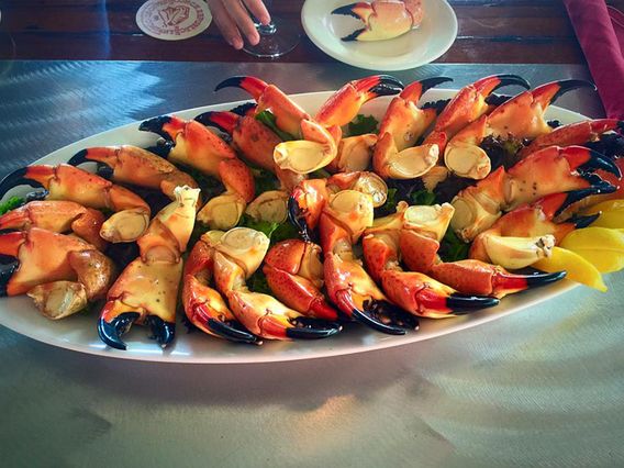 Conch Republic Seafood Company photo