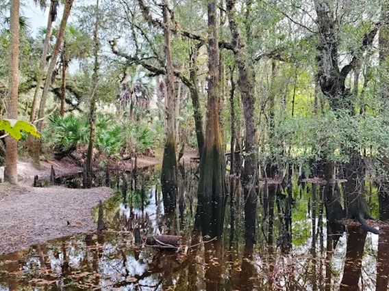 Econ River Wilderness Area photo
