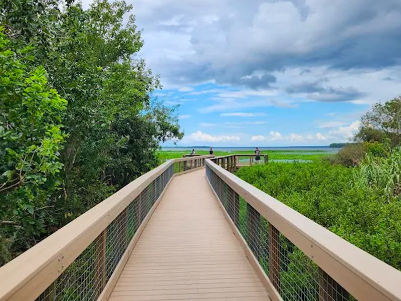 Spring Hammock Preserve photo