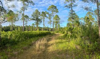Black Hammock Trailhead