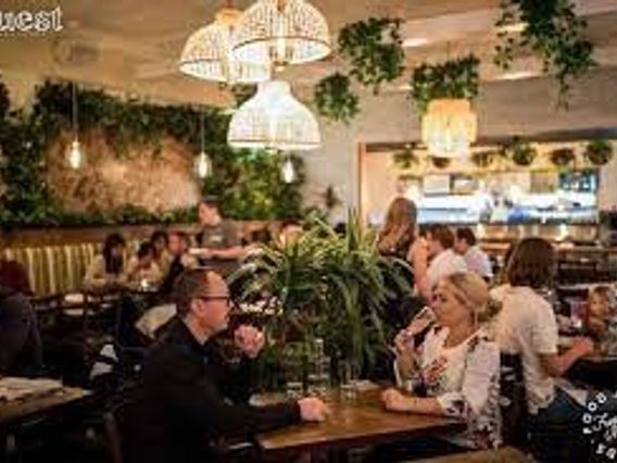 The Guest Miami photo