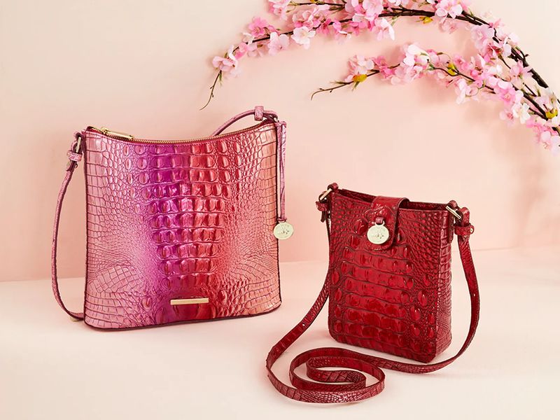 Brahmin photo