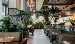Earls Kitchen + Bar
