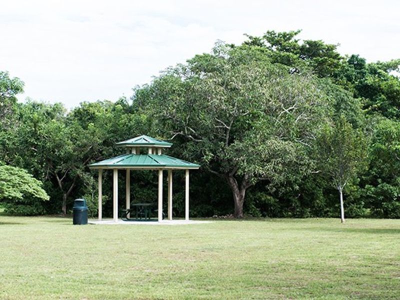 Dison Park photo