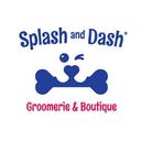 Splash & Dash logo