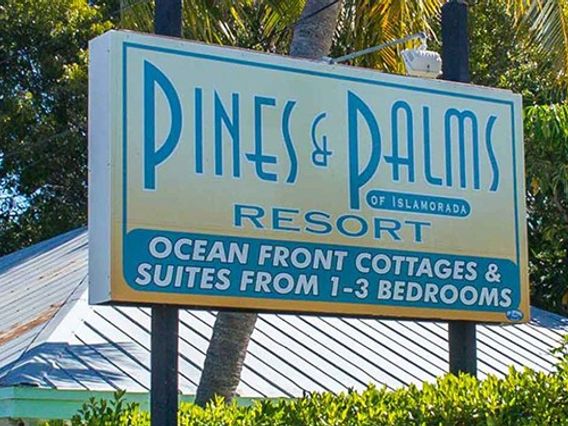 Pines & Palms Resort photo