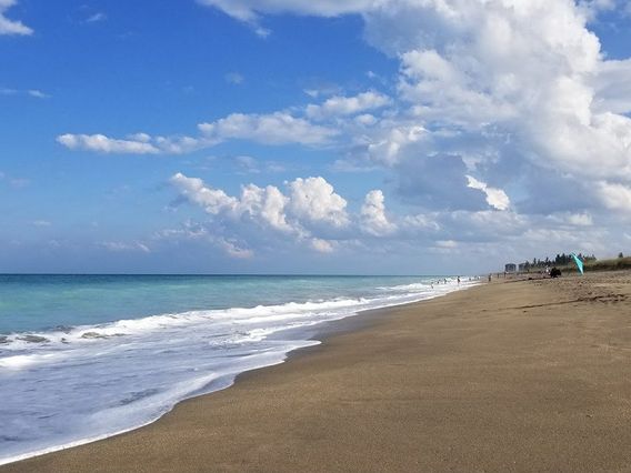 Porpoise Beach photo