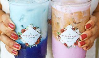 The Modern Rose