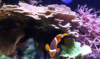 St Lucie County Aquarium