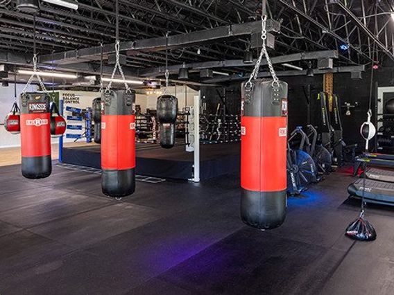 Box IQ Fitness + Knowledge photo