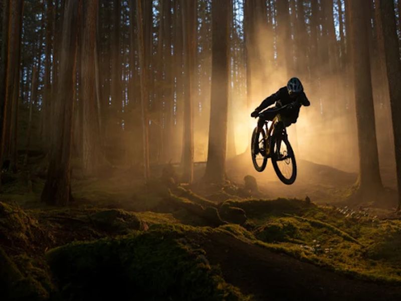 Trek Bike Shop of Sunrise photo
