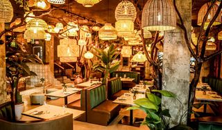 Casa Matilda - Steakhouse & Cocktail Bar